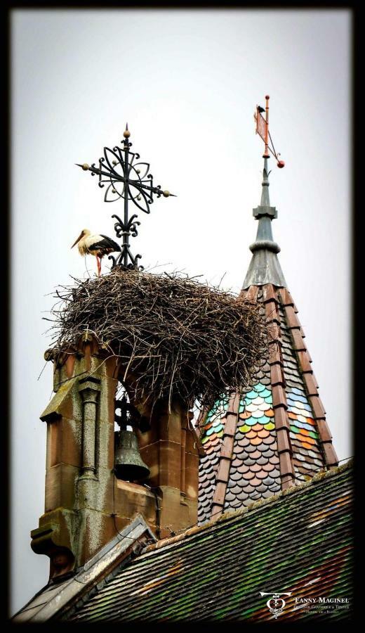 Gite Edelweiss A Eguisheim Exterior photo